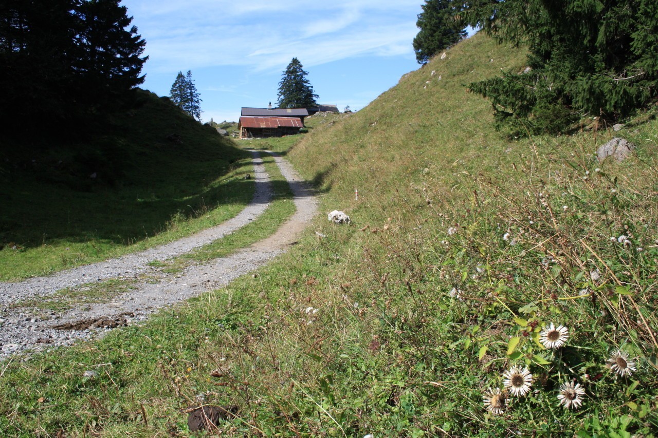 Berghutten zwitserland rothornblickhütte (1400m)