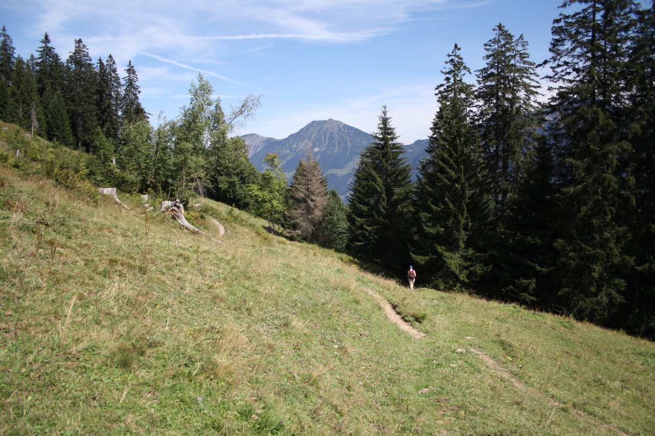 Berghutten zwitserland rothornblickhütte (1400m)