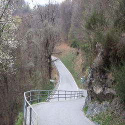 03Baitedelluca