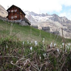 Capanna-Grossalp