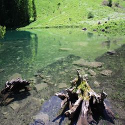 Lac-de-Coudre