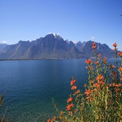 Lac-de-Geneve