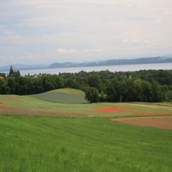 Lac-de-Neuchatel