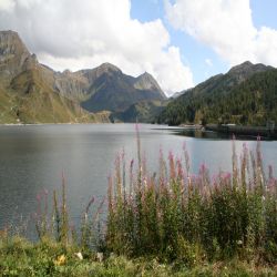 Lago-Ritom