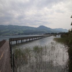 Obersee-Zurichsee