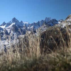 Finsteraarhorn-Fiescherhorner-Lauteraarhorn