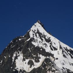 Mettelhorn