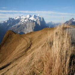 Wetterhorngruppe