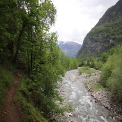 25Graubundensentierostorico