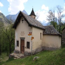 50Graubundensentierostorico