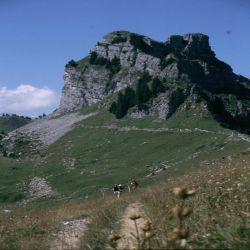 01Jungfrauregschynigeplattepanoramaweg