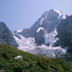 01Jungfrauregwengeralpeigergletscher