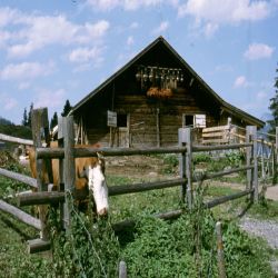 01Jungfrauregwestflanklauterbrunnendal