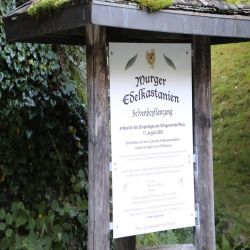 01Oostzwitserlandmurgtal