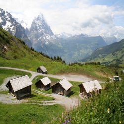 03Rosenlauigrscheidegg