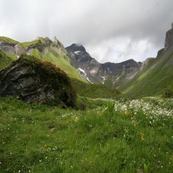 14Rosenlauigrscheidegg