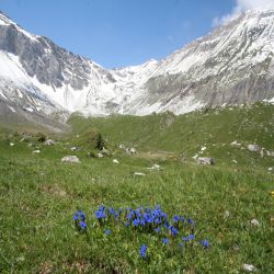 06SSKandertalengstligenalp