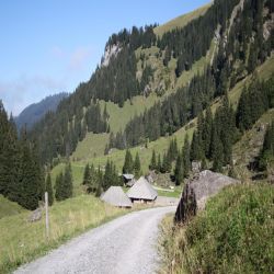 13SSKandertalsuldtal