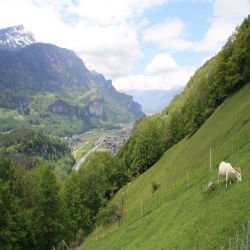 08Sustenpassinnertkirchenreuti