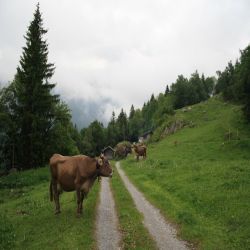 04Sustenpassspycherberg