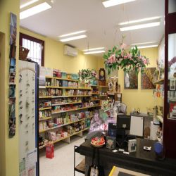 11Tessinbidogno