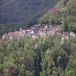 01Tessinbruzella