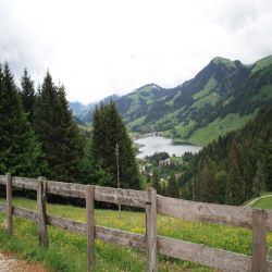 08WWSchwarzsee