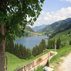 21WWSchwarzsee