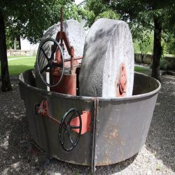 08WWZwingen