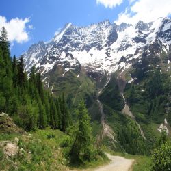 Beichgletscher