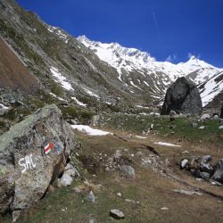 Rotblattgletscher