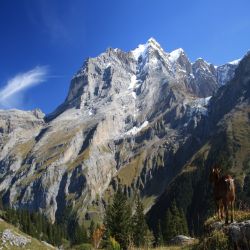 Rottalgletscher