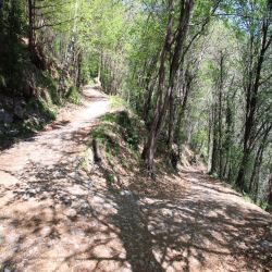 22Rifugioalpedicaviano