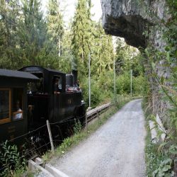 Ballenberg-Dampfbahn-Brienz-HG-3-3-1067