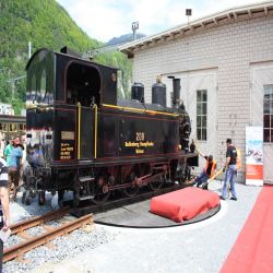 Ballenberg-Dampfbahn-Brienz-Meiringen-208-G3-4